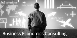 Business Economics Consulting